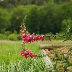 Parc De La Fage By Douce France Location Journiac