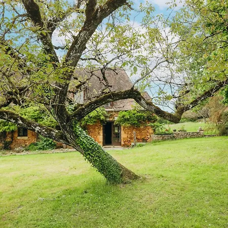 Holiday home Parc De La Fage